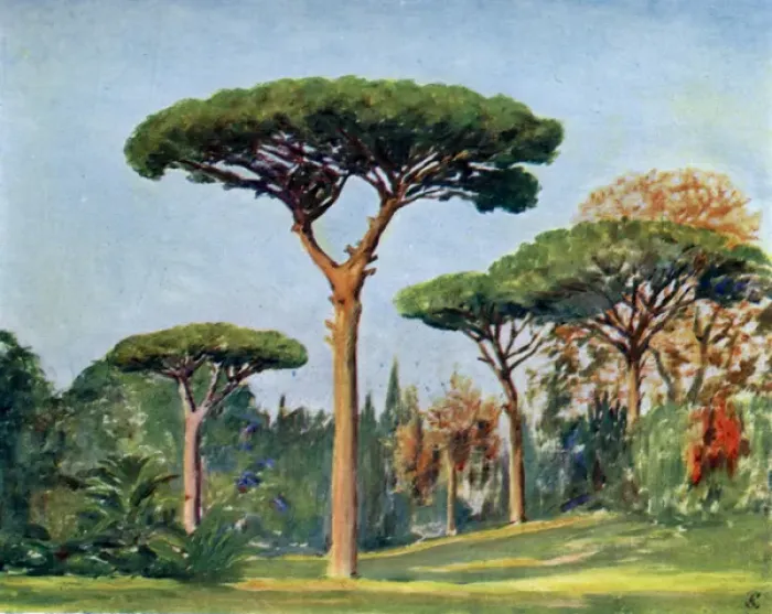 Framed Print : Rock pines in the grounds of the Villa Floridiana, Naples Framed Print : Rock pines in the grounds of the Villa Floridiana, Naples