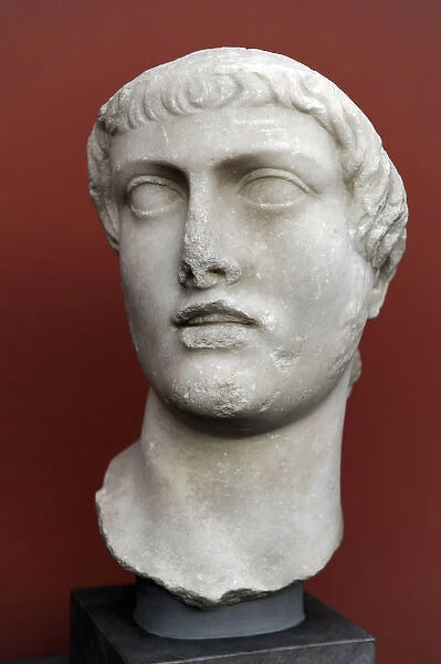 Roman Art. Bust of a man. Portrait. 1st. century. Marble. Ny