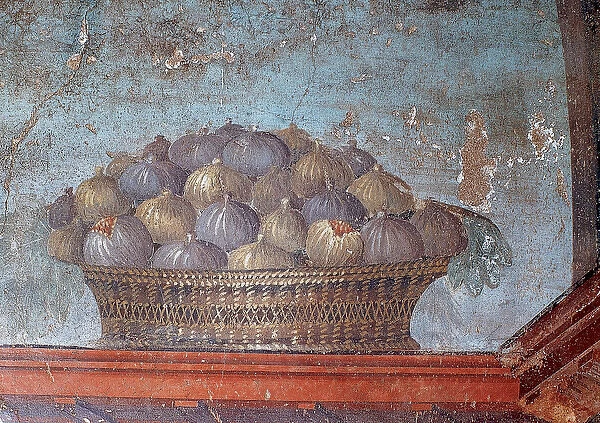 Roman art. Italy. Fresco. Basket of figs. 1st century AD. Op