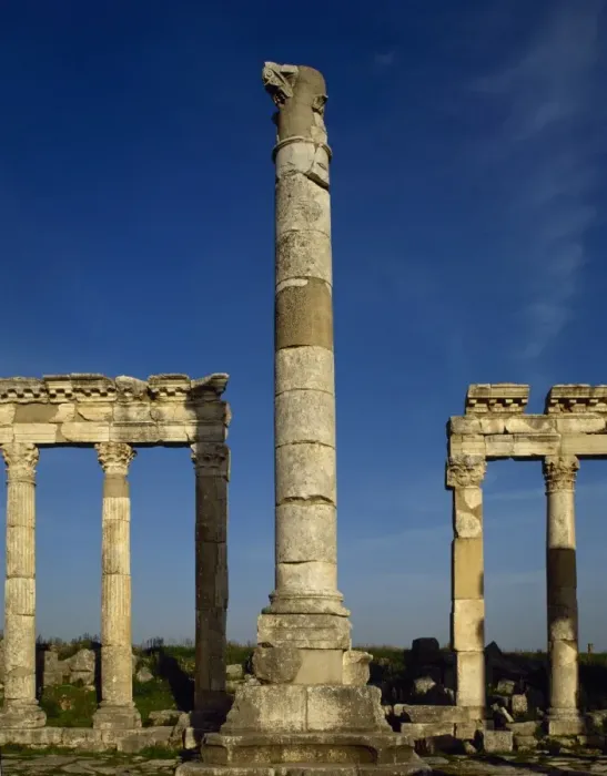 Framed Print : Roman Art. Syria. Apamea. Monumental Column and Colonnade Framed Print : Roman Art. Syria. Apamea. Monumental Column and Colonnade