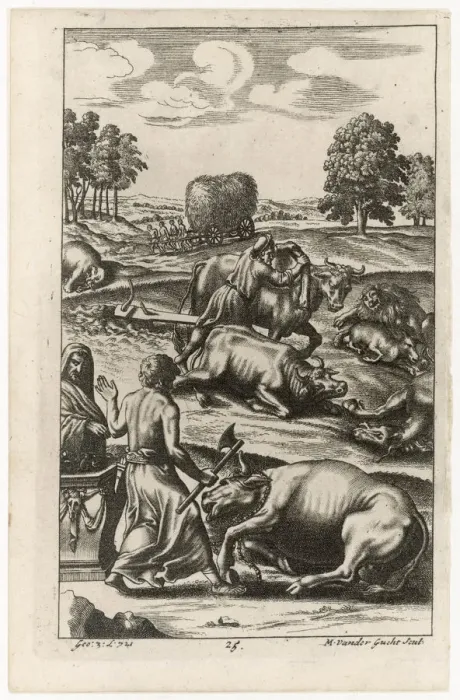 Framed Print : ROMAN CATTLE STRICKEN Framed Print : ROMAN CATTLE STRICKEN