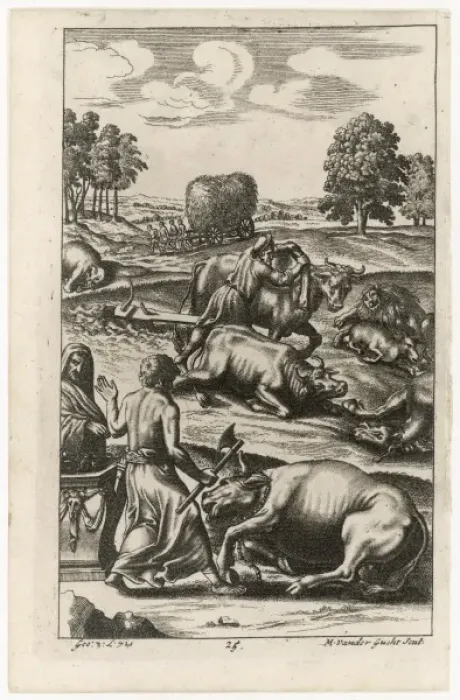Framed Print : Roman Cattle Stricken Framed Print : Roman Cattle Stricken