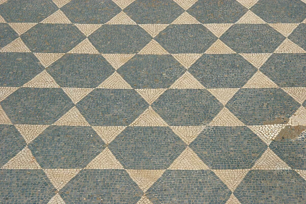 Roman city of Ampurias. Mosaic. Catalonia. Spain
