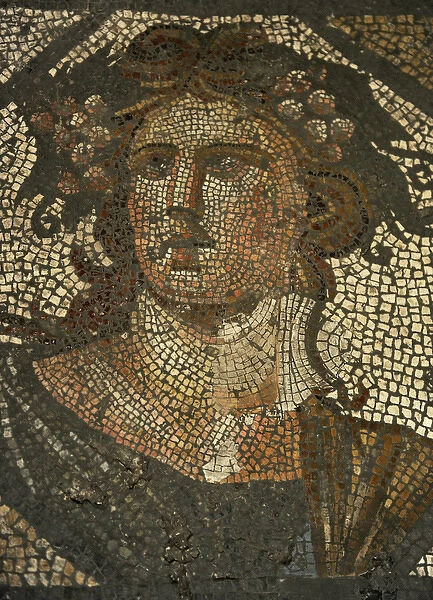 Roman floor mosaic. Antonine Period. Alemdar (Istanbul)