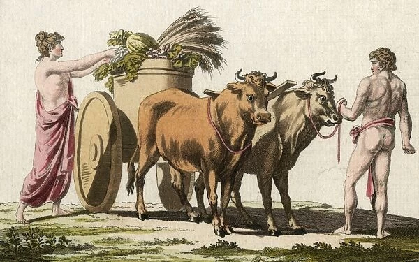 Roman Ox-Cart. A Roman farmer and his wife load their ox-cart with produce