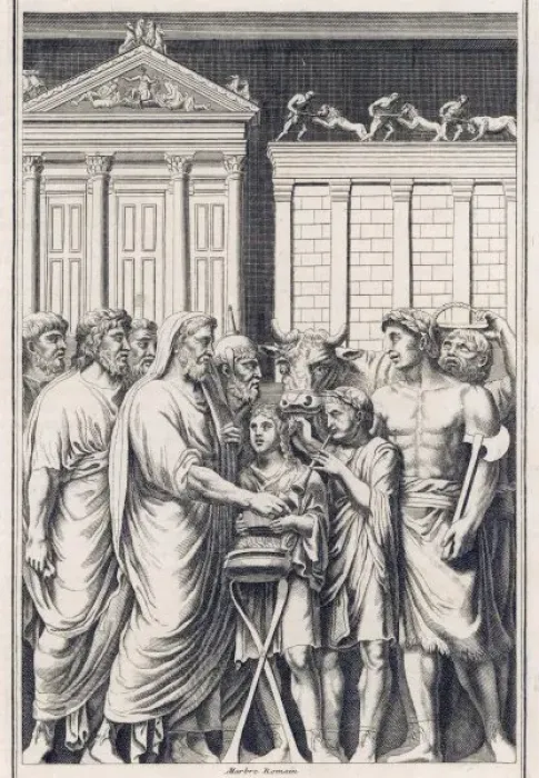 Framed Print : Roman Sacrifice Bull Framed Print : Roman Sacrifice Bull