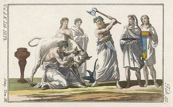 Romans Sacrifice Bull
