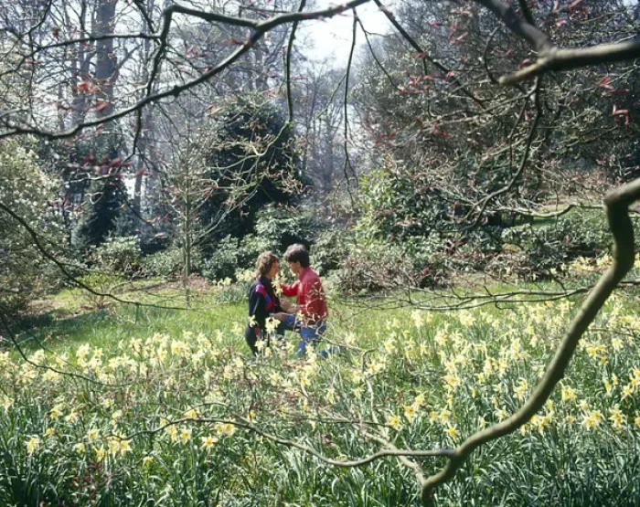 Framed Print : Romantic couple in spring flowers, West Country Framed Print : Romantic couple in spring flowers, West Country