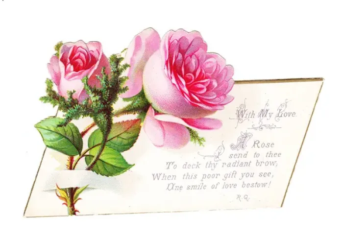 Framed Print : Romantic greetings card with pink roses Framed Print : Romantic greetings card with pink roses