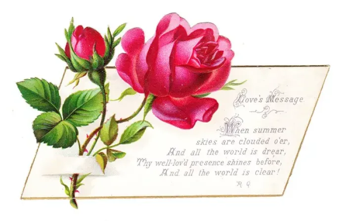 Framed Print : Romantic greetings card with red roses Framed Print : Romantic greetings card with red roses