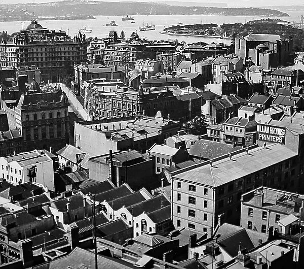 Rooftop panorama, Sydney, Australia, early 1900s