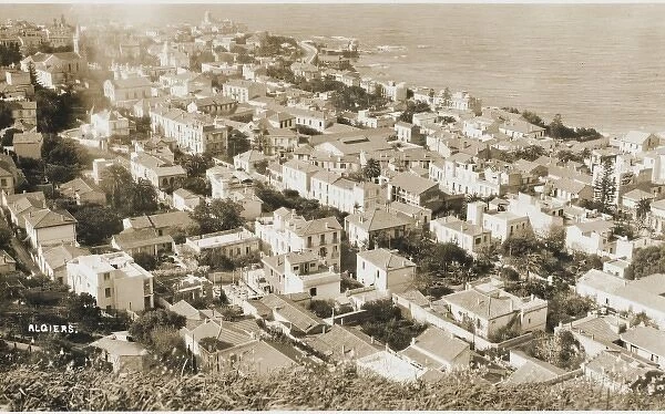 The rooftops of Algiers