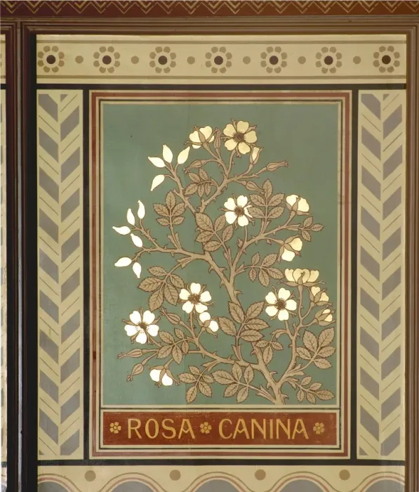 Framed Print : Rosa canina, dog rose Framed Print : Rosa canina, dog rose