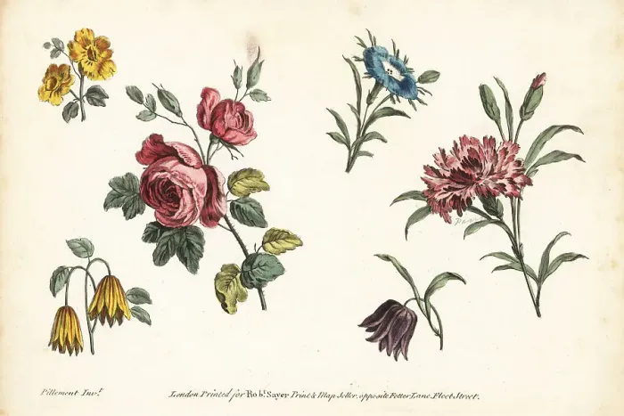 Framed Print : Rose, carnation, fritillary, and other flowers Framed Print : Rose, carnation, fritillary, and other flowers