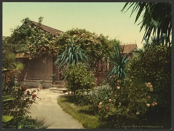 Rose-covered cottage, Pasadena