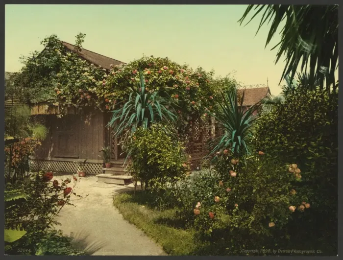 Framed Print : Rose-covered cottage, Pasadena Framed Print : Rose-covered cottage, Pasadena
