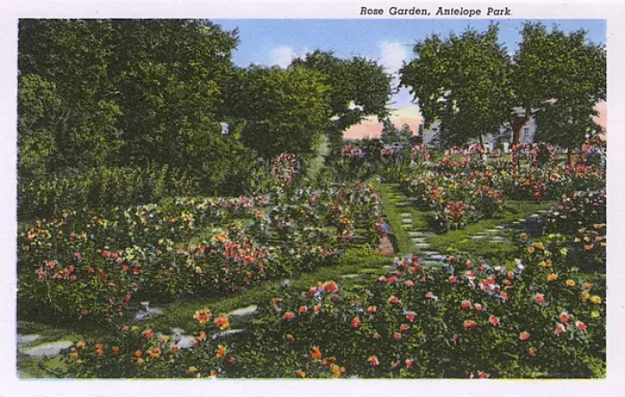 Framed Print : Rose Garden, Antelope Park, Lincoln, Nebraska, USA Framed Print : Rose Garden, Antelope Park, Lincoln, Nebraska, USA
