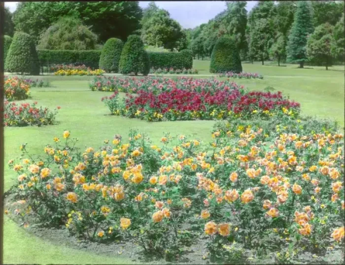 Framed Print : Rose garden at Kew Gardens Framed Print : Rose garden at Kew Gardens