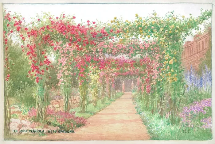 Framed Print : The Rose Pergola, Kew Gardens Framed Print : The Rose Pergola, Kew Gardens