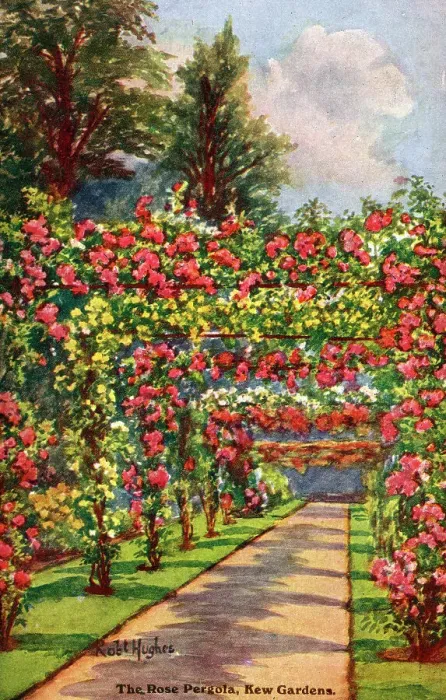 Framed Print : The Rose Pergola, Kew Gardens, West London Framed Print : The Rose Pergola, Kew Gardens, West London