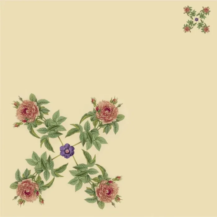 Framed Print : Roses in a cross shape Framed Print : Roses in a cross shape