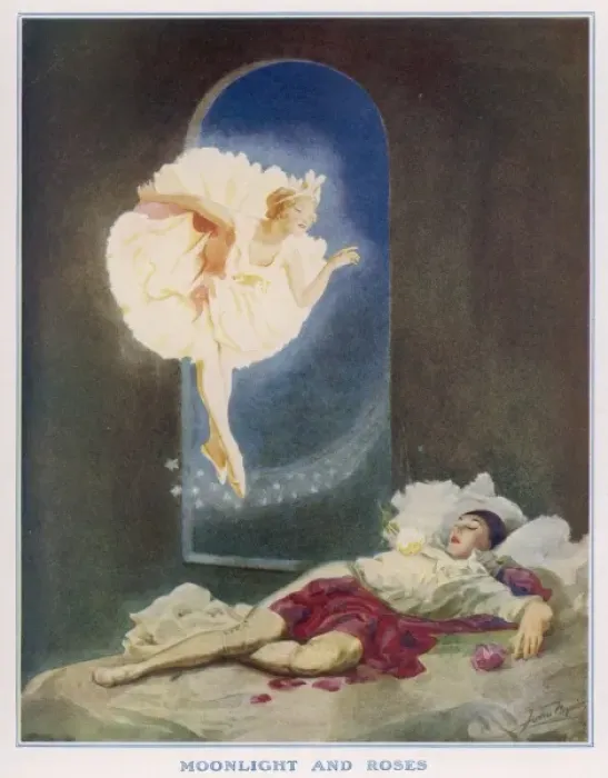 Framed Print : Roses & Moonlight Framed Print : Roses & Moonlight