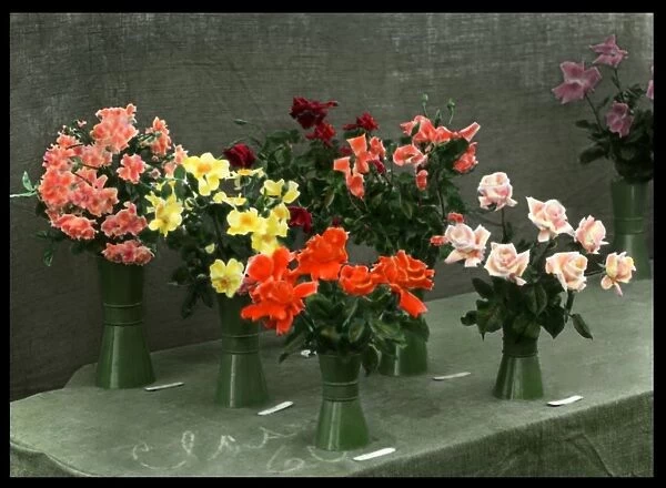 Roses in vases, set out on a table