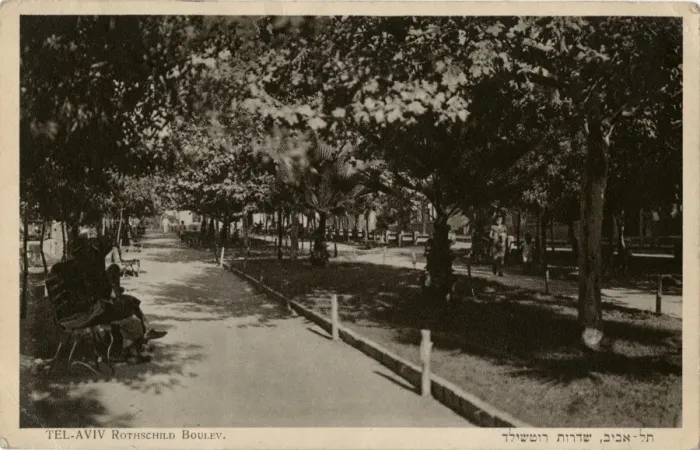 Framed Print : Rothschild Boulevard, Tel Aviv, Israel Framed Print : Rothschild Boulevard, Tel Aviv, Israel