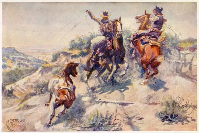 Framed Print : Rounding-up cattle - a mad cow Date: 1908 Framed Print : Rounding-up cattle - a mad cow Date: 1908