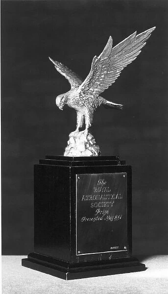 The Royal Aeronautical Society Prize