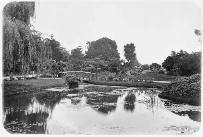 Framed Print : Royal Botanical Gardens, Sydney, Australia