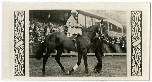 Royal Charter, Australian race horse