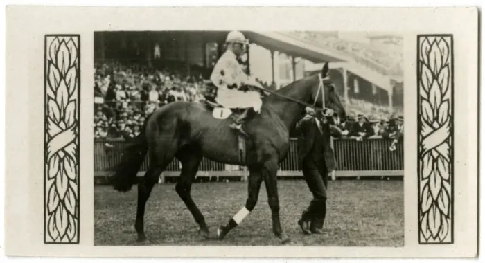 Framed Print : Royal Charter, Australian race horse Framed Print : Royal Charter, Australian race horse