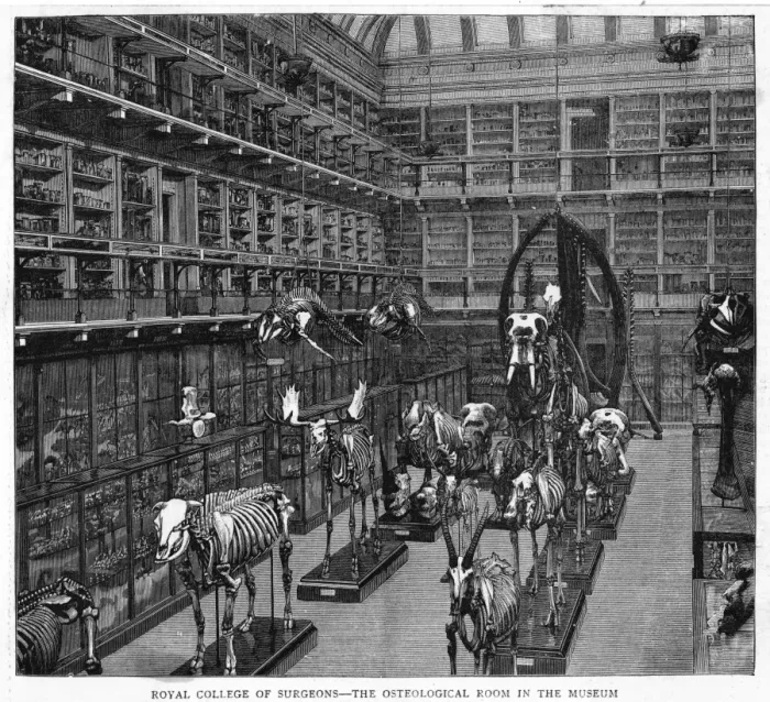 Framed Print : Royal Coll. of Surgeons Framed Print : Royal Coll. of Surgeons