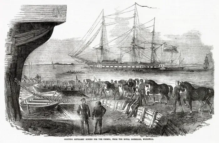 Framed Print : At the Royal Dockyard, Woolwich, artillery horses are shipped to the Crimea Date Framed Print : At the Royal Dockyard, Woolwich, artillery horses are shipped to the Crimea Date
