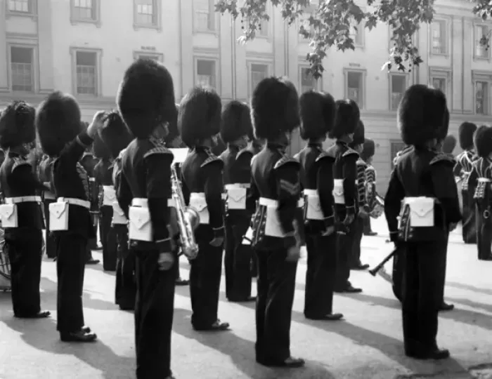 Framed Print : Royal Guards Framed Print : Royal Guards