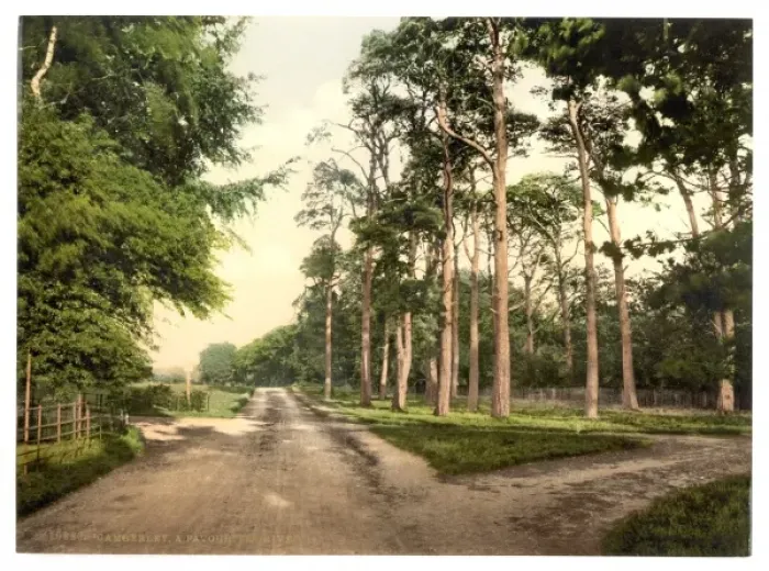 Framed Print : Royal Military College, a favorite drive, Sandhurst, Camberl Framed Print : Royal Military College, a favorite drive, Sandhurst, Camberl