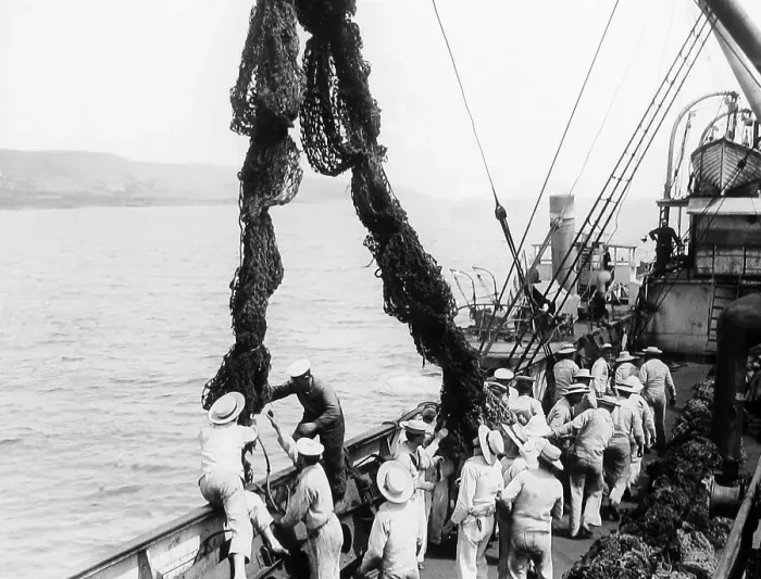 Framed Print : Royal Navy anti submarine nets during WW1 Framed Print : Royal Navy anti submarine nets during WW1