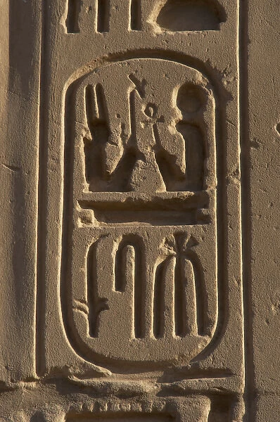 Royal protocol of Ramses II. Cartridge