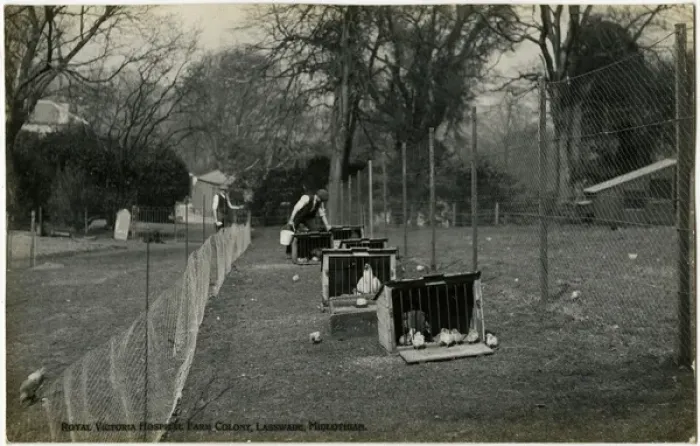 Framed Print : Royal Victoria Hospital Farm Colony, Polton, Scotland Framed Print : Royal Victoria Hospital Farm Colony, Polton, Scotland
