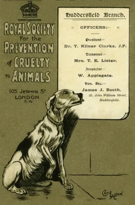 Framed Print : RSPCA. Cecil Aldin. 1908. jpg Framed Print : RSPCA. Cecil Aldin. 1908. jpg