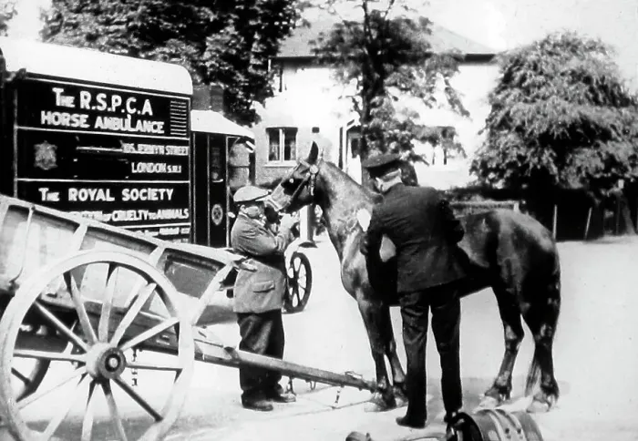 Framed Print : An RSPCA horse ambulance, London Framed Print : An RSPCA horse ambulance, London