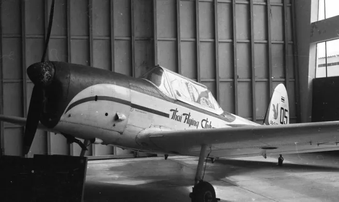 Framed Print : RTAF Museum - Chipmunk Framed Print : RTAF Museum - Chipmunk