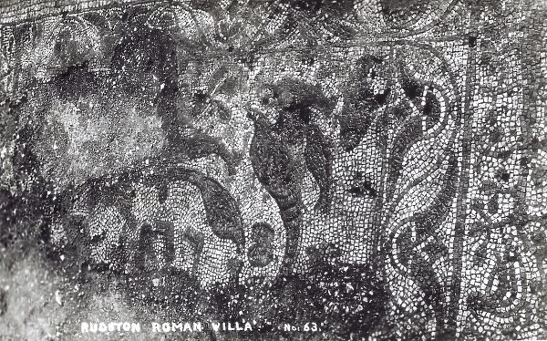 Rudston Roman Villa mosaics during excavation 1  /  3