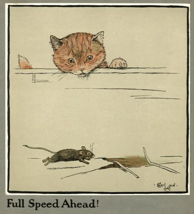 Framed Print : Rufus the cat watches a mouse Framed Print : Rufus the cat watches a mouse