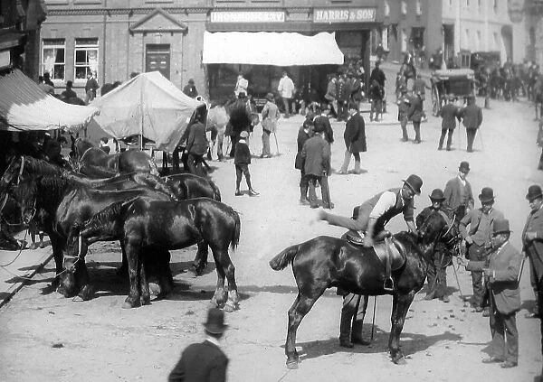Rugeley Horse fair Victorian period