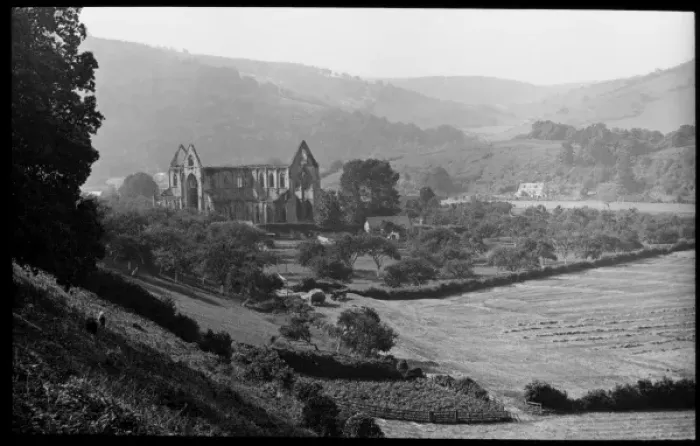 Framed Print : Ruins of Tintern Abbey, near Chepstow, Gwent, Wales Framed Print : Ruins of Tintern Abbey, near Chepstow, Gwent, Wales