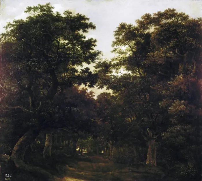 Framed Print : Ruisdael, Jacob van (1628-1682). Forest. 1657 Framed Print : Ruisdael, Jacob van (1628-1682). Forest. 1657