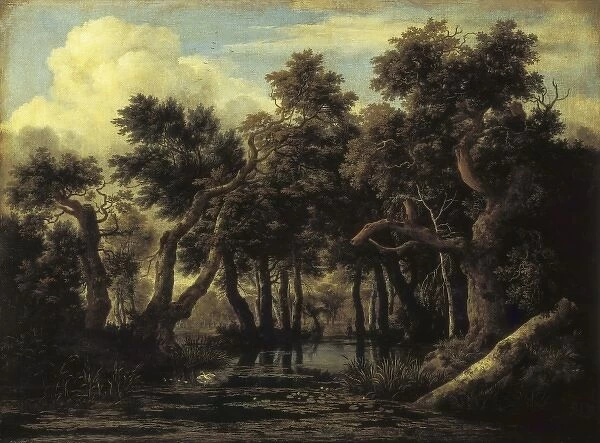 Ruisdael, Jacob van (1628-1682). The Marsh. Baroque