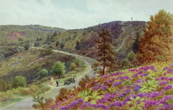 Framed Print : Rural scene, Hindhead, Surrey Framed Print : Rural scene, Hindhead, Surrey